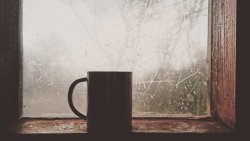 Picture of a mug by a window with a partially obscured view outside. representing how people gradually reveal themselves when dating and at the beginning of a relationship