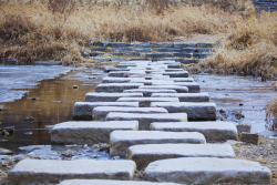 Stone stepping path across water leading forward
