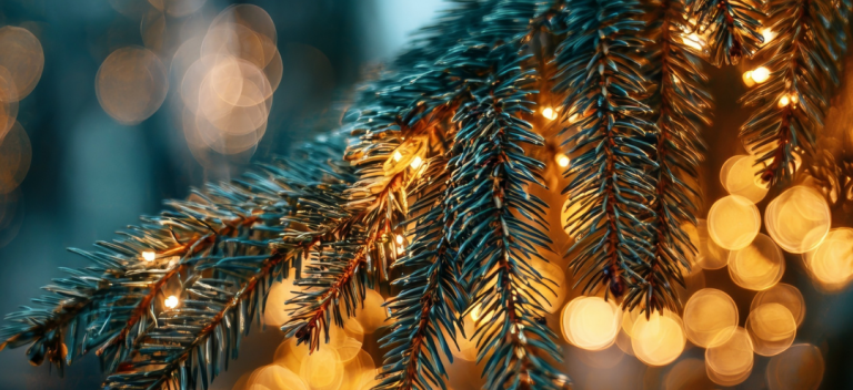 Christmas without conflict